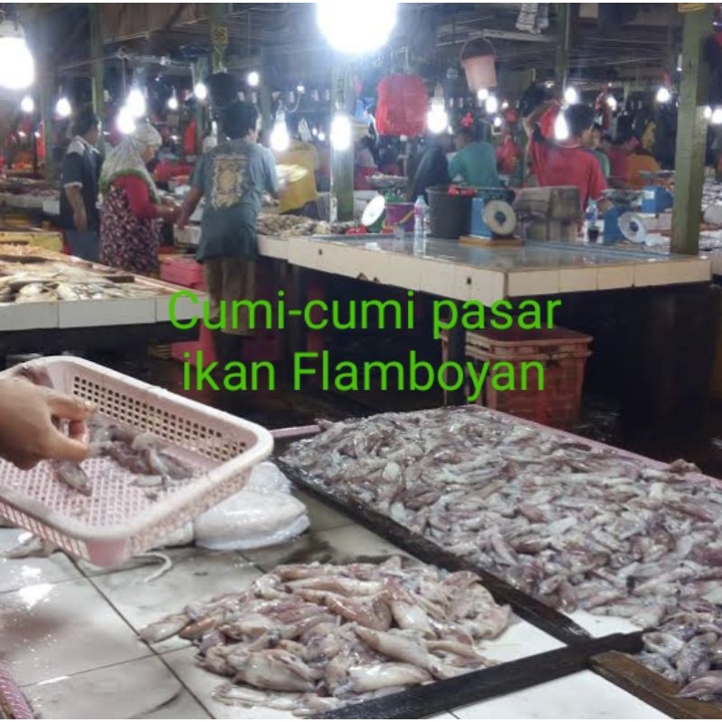 

Cumi-cumi kecil/ sotong 250gram/ 500gram/ 1000gram