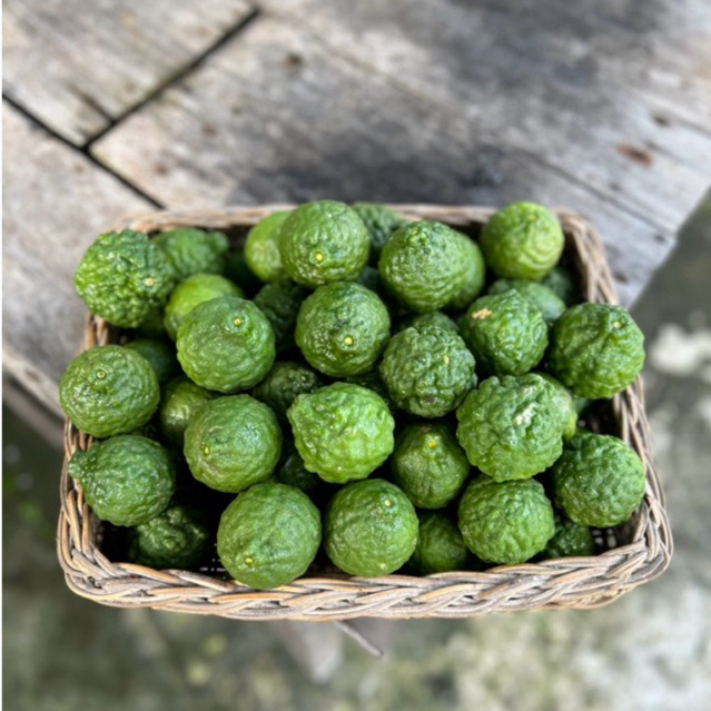 

Jeruk Purut - 1KG