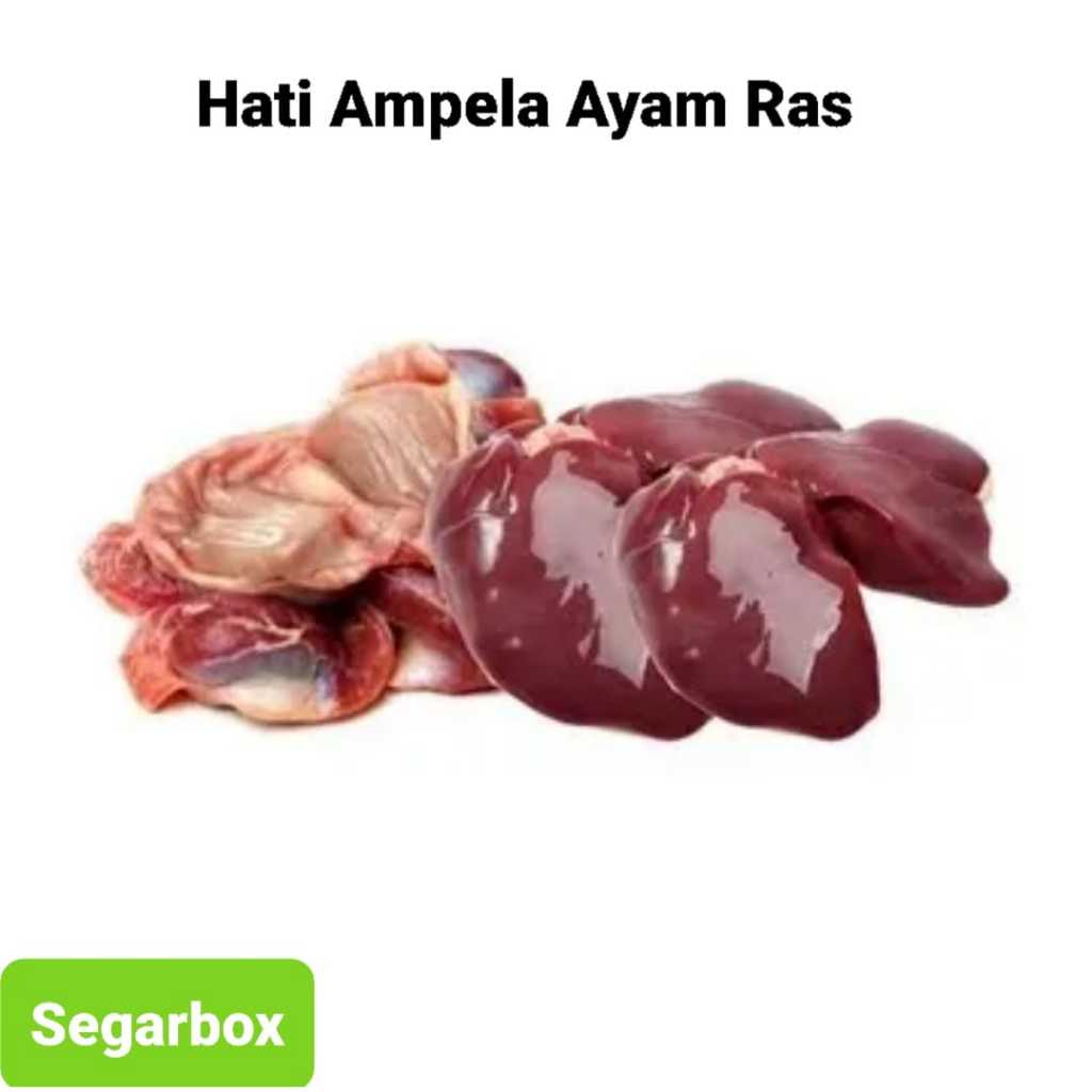 

Hati Ampela Ayam Ras 3 Pasang