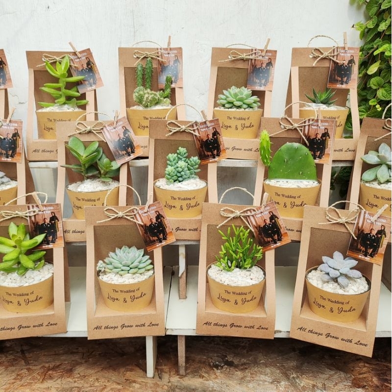 SOUVENIR SUKULEN & KAKTUS CUSTOM