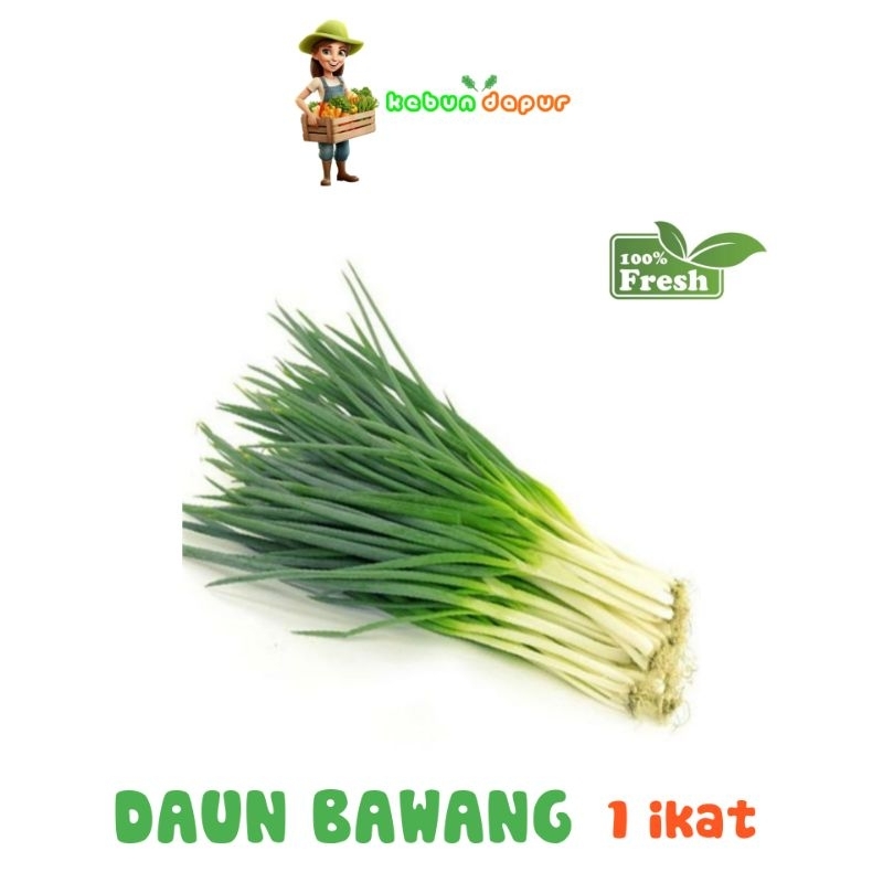 

DAUN BAWANG FRESH Harga eceran -Kebun Dapur-