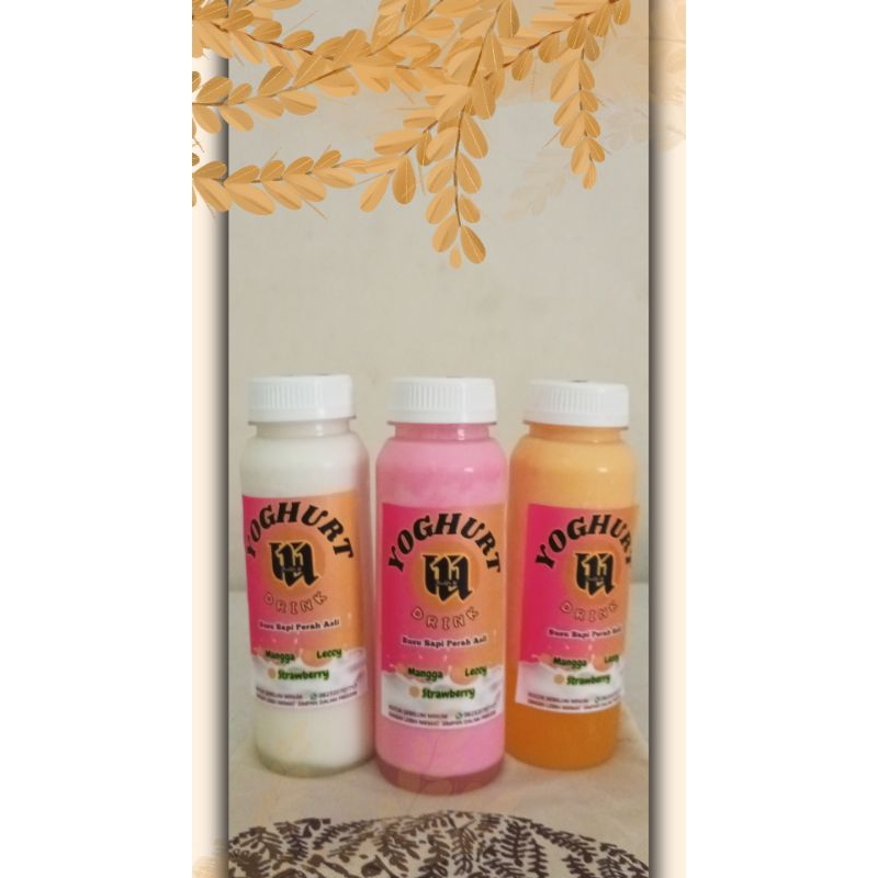 

yoghurt susu sapi murni