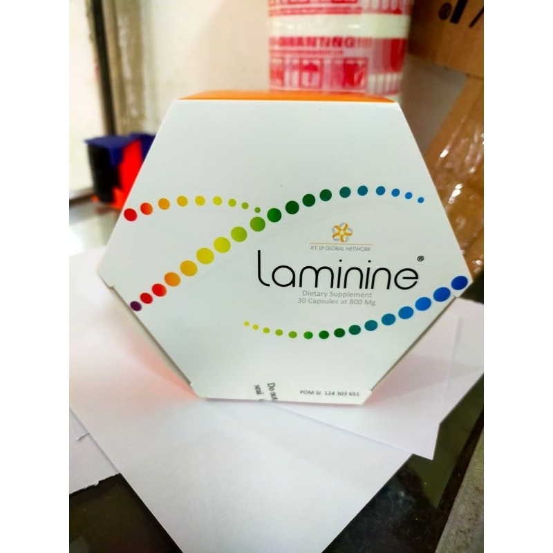 Asli Laminin isi 30 Laminine ori laminine stemcell asli 100%