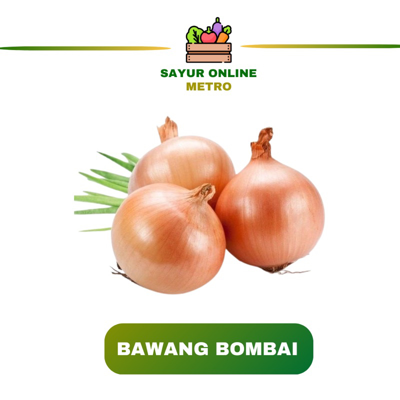 

Bawang Bombai 1 pcs - Sayur Online Metro