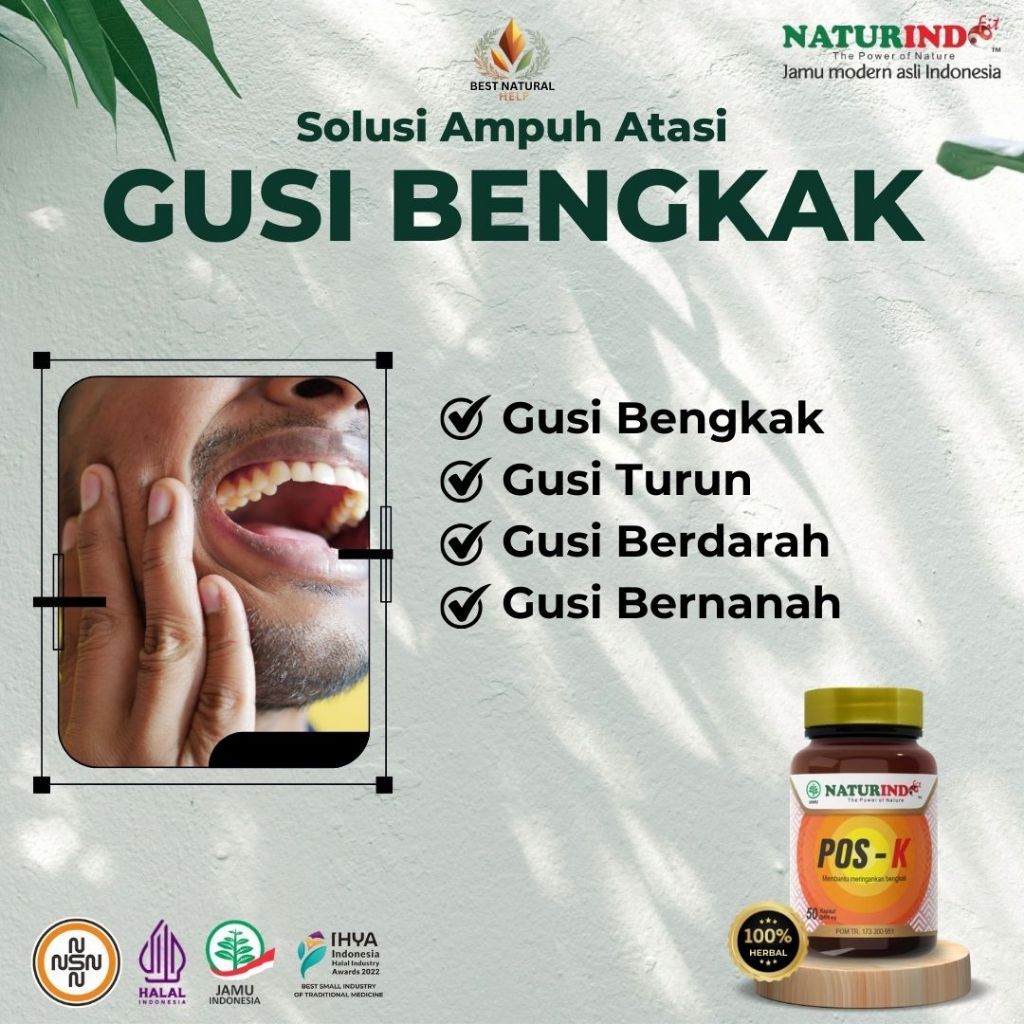Obat Gusi Bengkak Pembengkakan Gusi Berdarah Pipi Bengkak Akibat Gusi Membengkak Herbal Ampuh