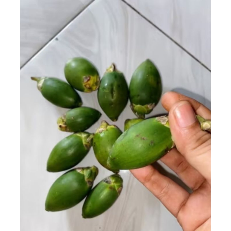 

PROMO!! buah pinang muda di petik saat ada orderan