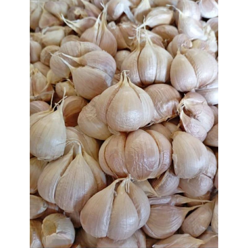 

INSTAN - BAWANG PUTIH BAWANG KATING 250 - 500GRAM