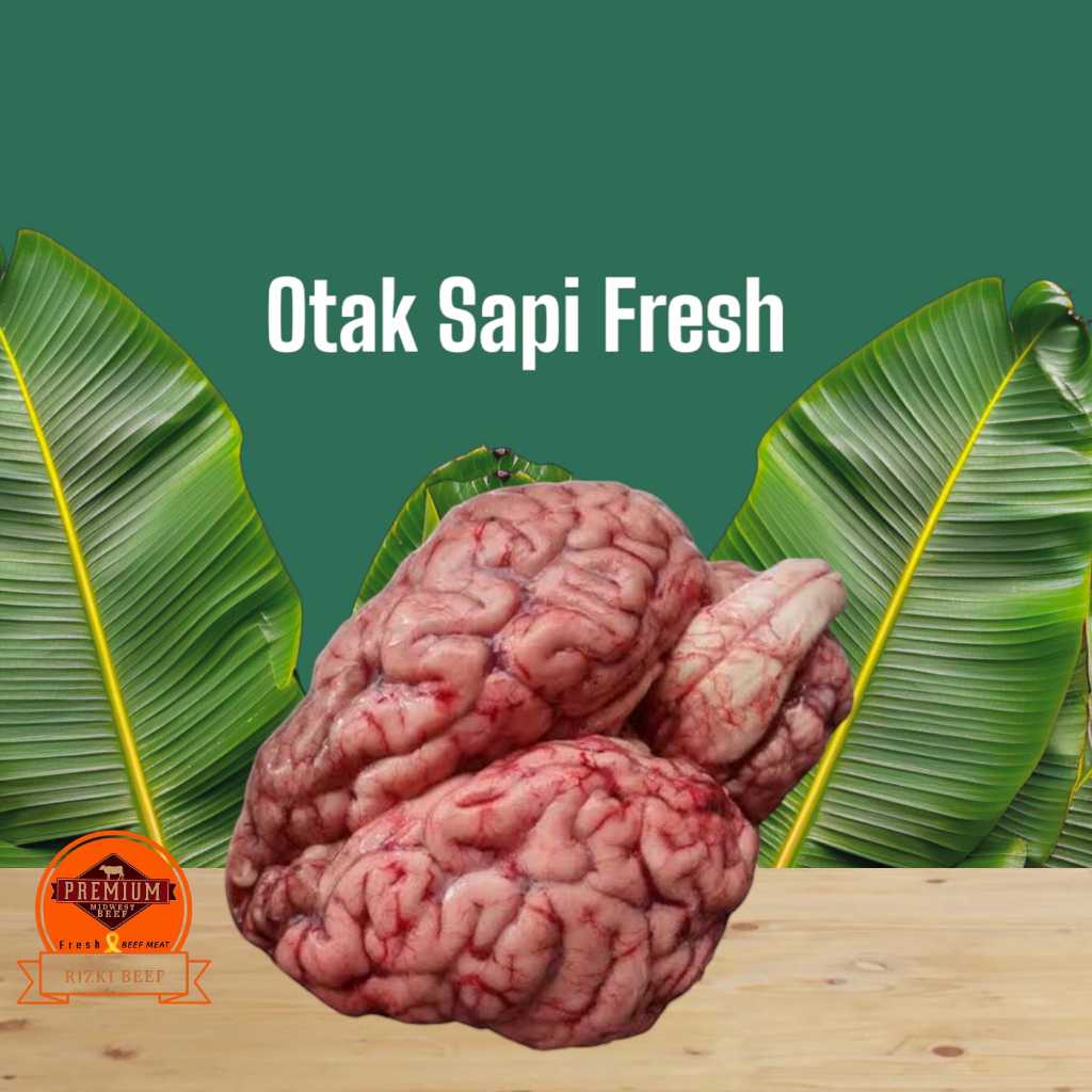 

Otak Sapi Lokal Fresh 100%Original (HALAL)