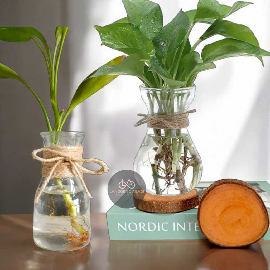 Vas Kaca Tali Rami | Vas Bunga Pot Tanaman | Vas Kaca Balon | Vas Kaca Bulat | Vas Tanaman Hias | Va