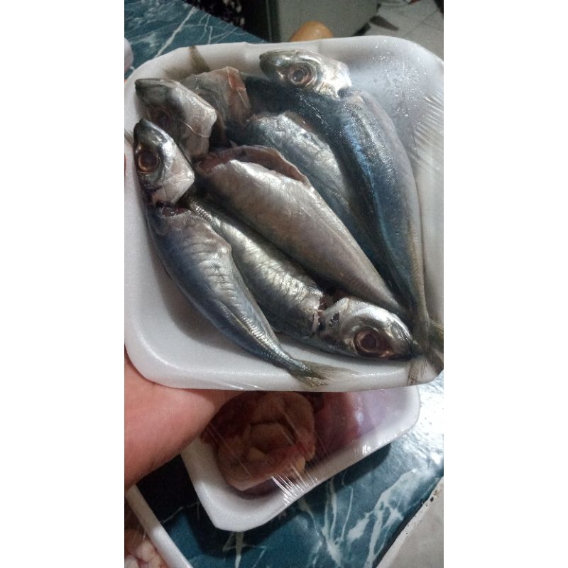 

ikan sere segar 200gr