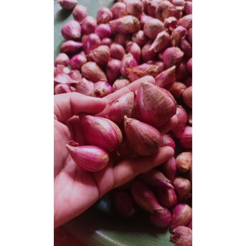 

Bawang merah SUPER segar 500 gram || Bumbu dapur