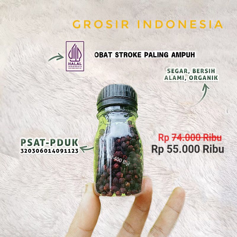 

Biji Buah Angkung Kering Isi 400 + 55 Biji Bonus Herbal Stroke Asam Urat Rematik