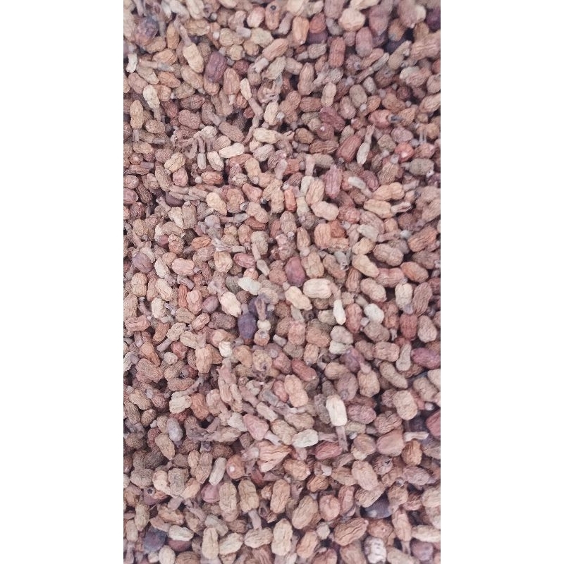 

Buah laja, Lengkuas, bunga kering jemuran 1kg