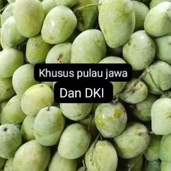 

MANGGA CENGKIR (MANGGA INDRAMAYU) 5kg dan 10 kg plus bumbu sambal garing