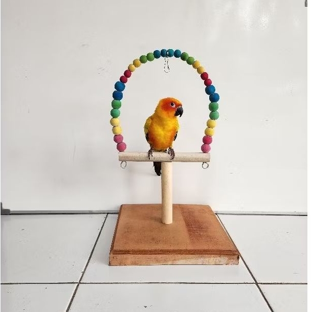 Tangkringan burung sunconure cockatiel