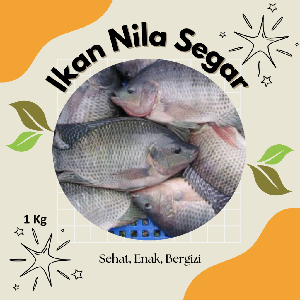 

Ikan Nila 1Kg Segar Premium, Harga Terjangkau