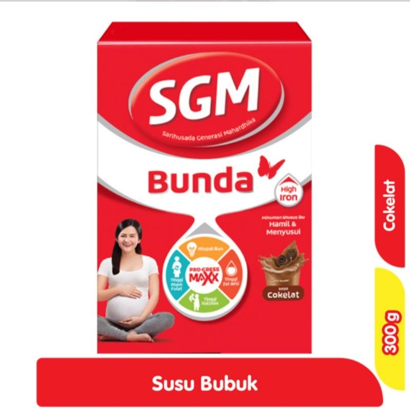 SGM BUNDA HAMIL DAN MENYUSUI 300GR