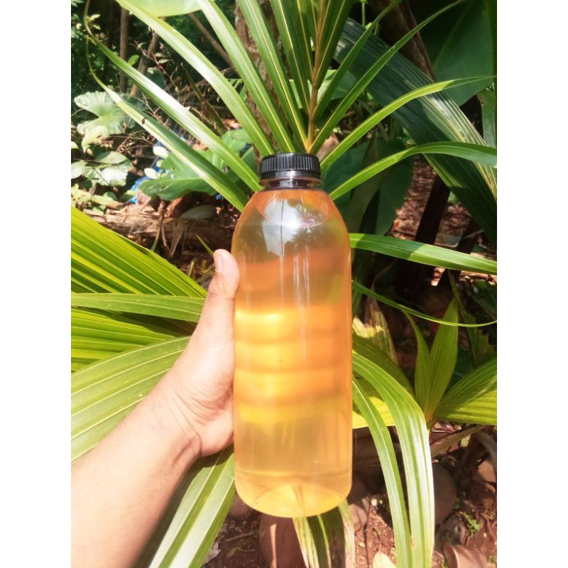 

Minyak kelapa 1Liter asli 100%, Minyak kelentik, Coconut oil