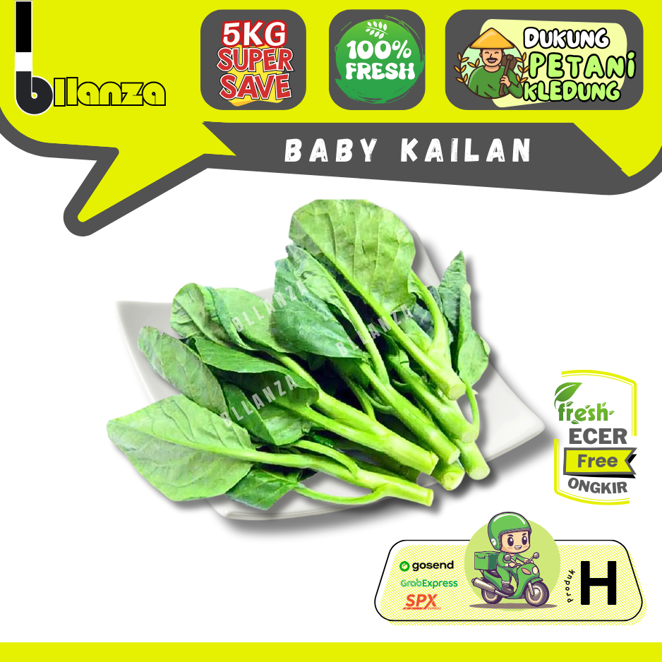 

Bllanza | Baby Kailan / Baby Kaylan — Sahabat Makan Sayur ECER (H)