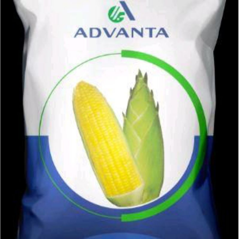 

Benih Jagung Manis Madu 59 F1 ADVANTA