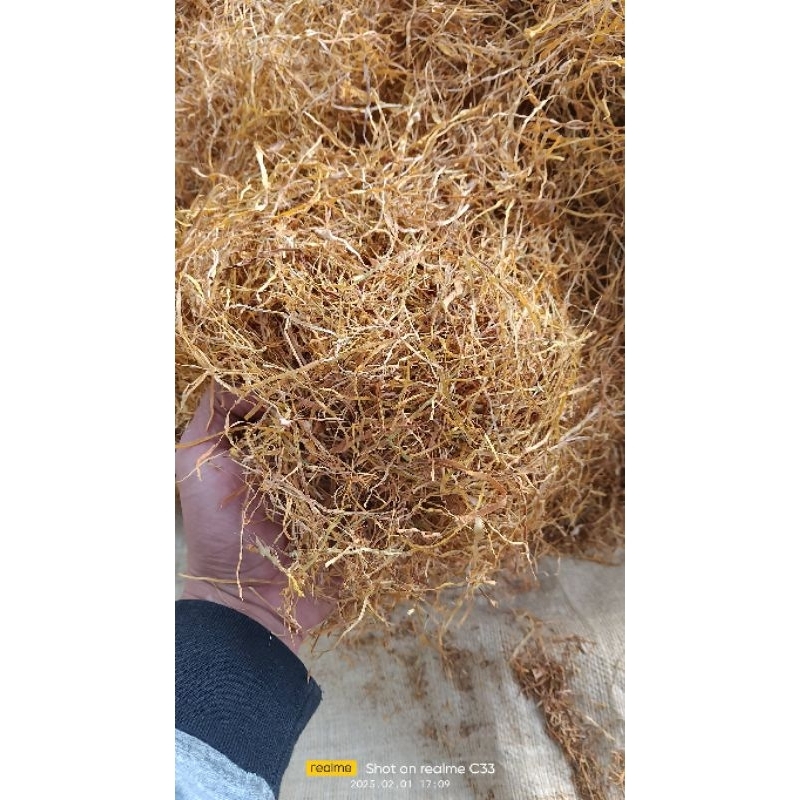Daun talas kering