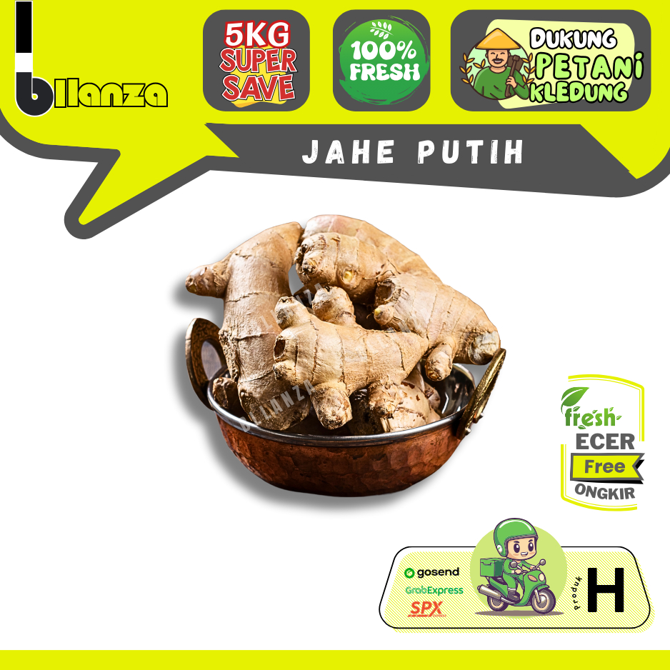 

Bllanza | Jahe Putih / Jahe Gajah — Sahabat Makan Sayur ECER (H)