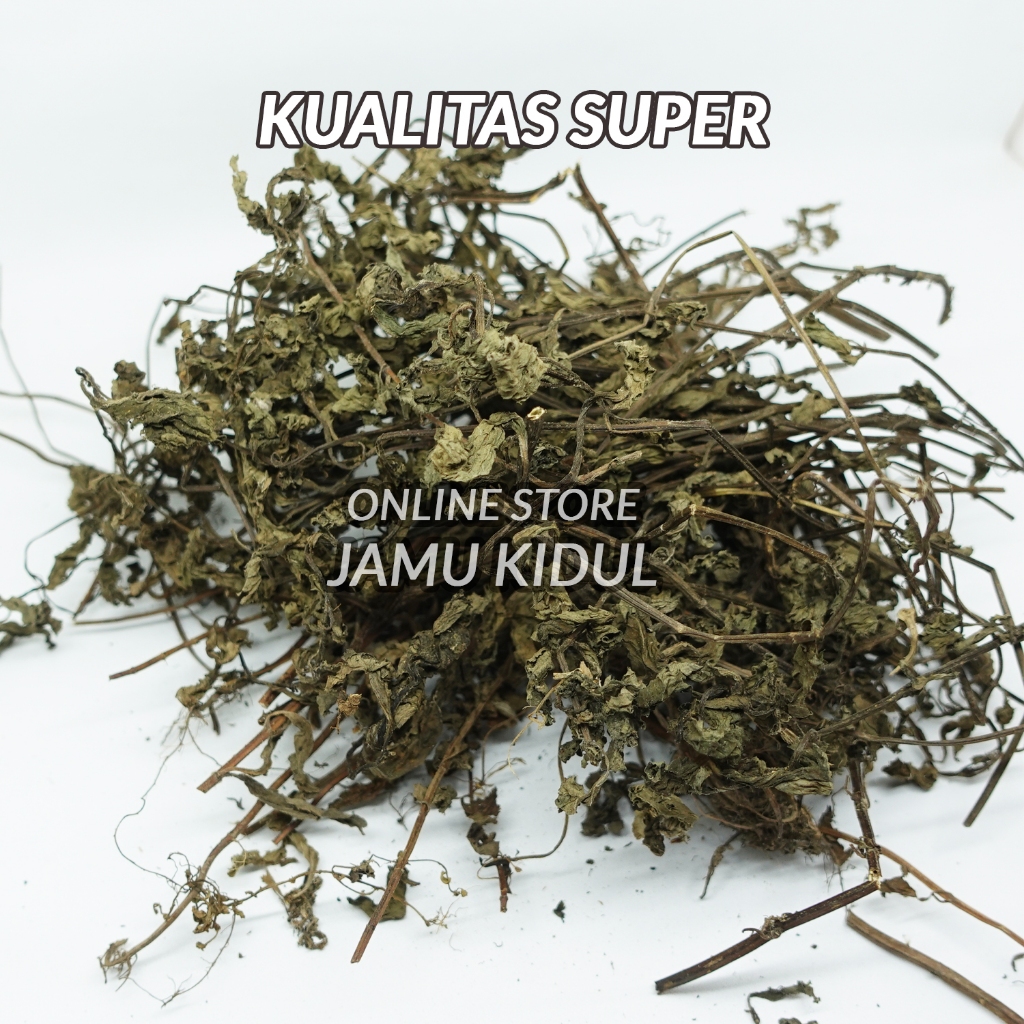 

Daun Mint 100gr Kering Lebih Berasa dan Asli