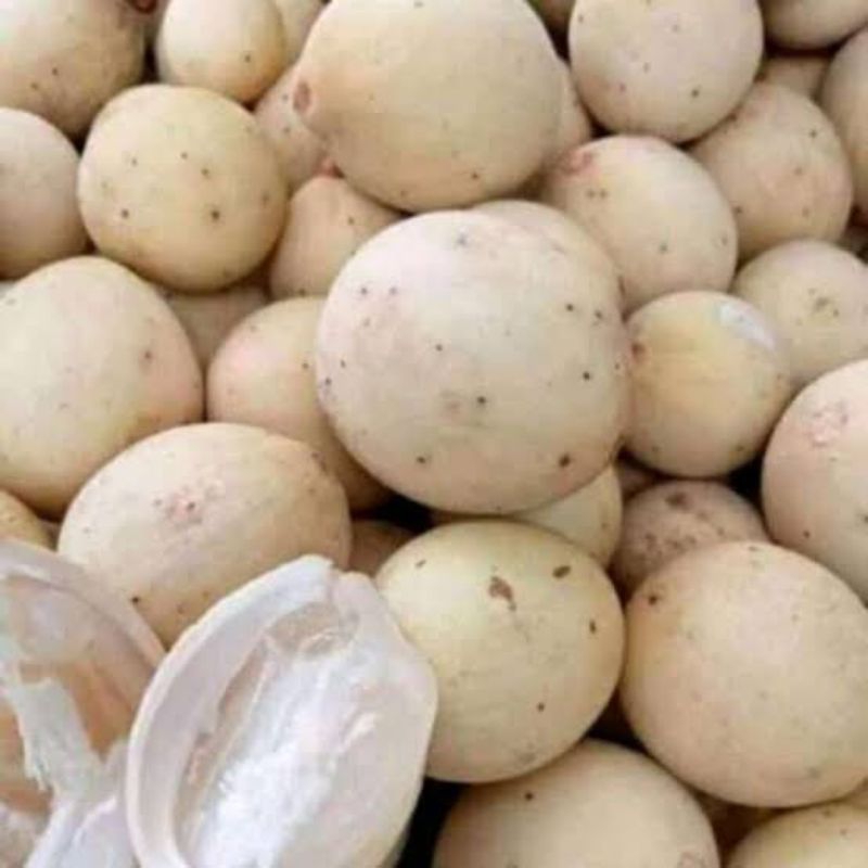 

Duku Palembang manis fresh 1kg