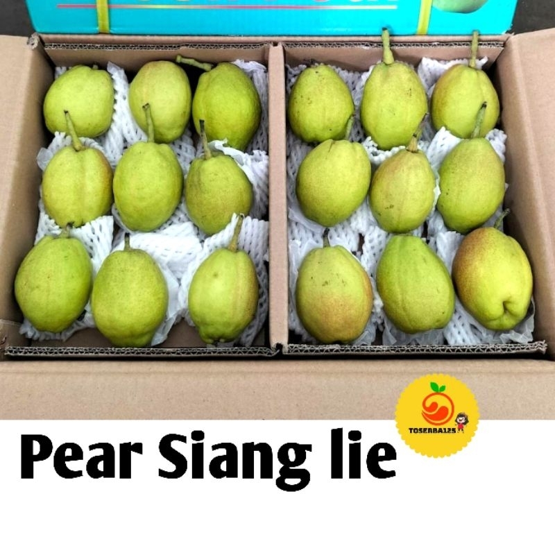 

Buah Pear hijau pear siangli xiangli siang lie fresh - TOSERBA125