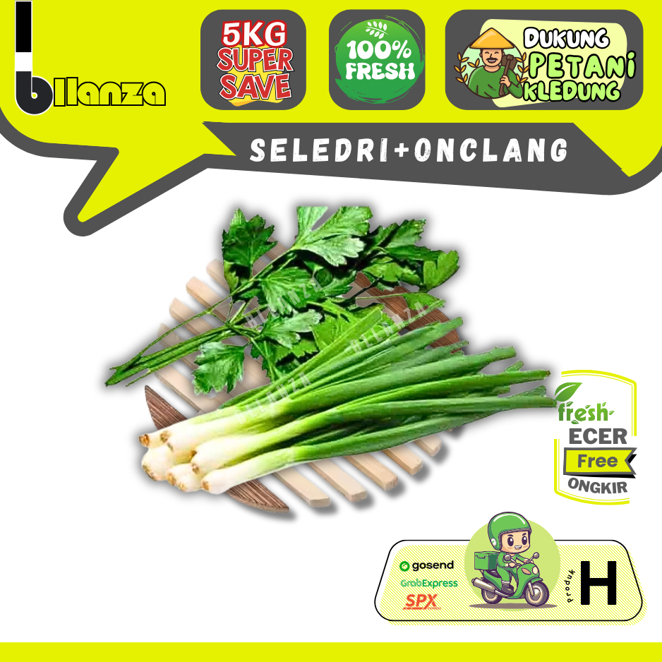 

Bllanza | Mix Daun Bawang Seledri — Sahabat Makan Sayur ECER (H)