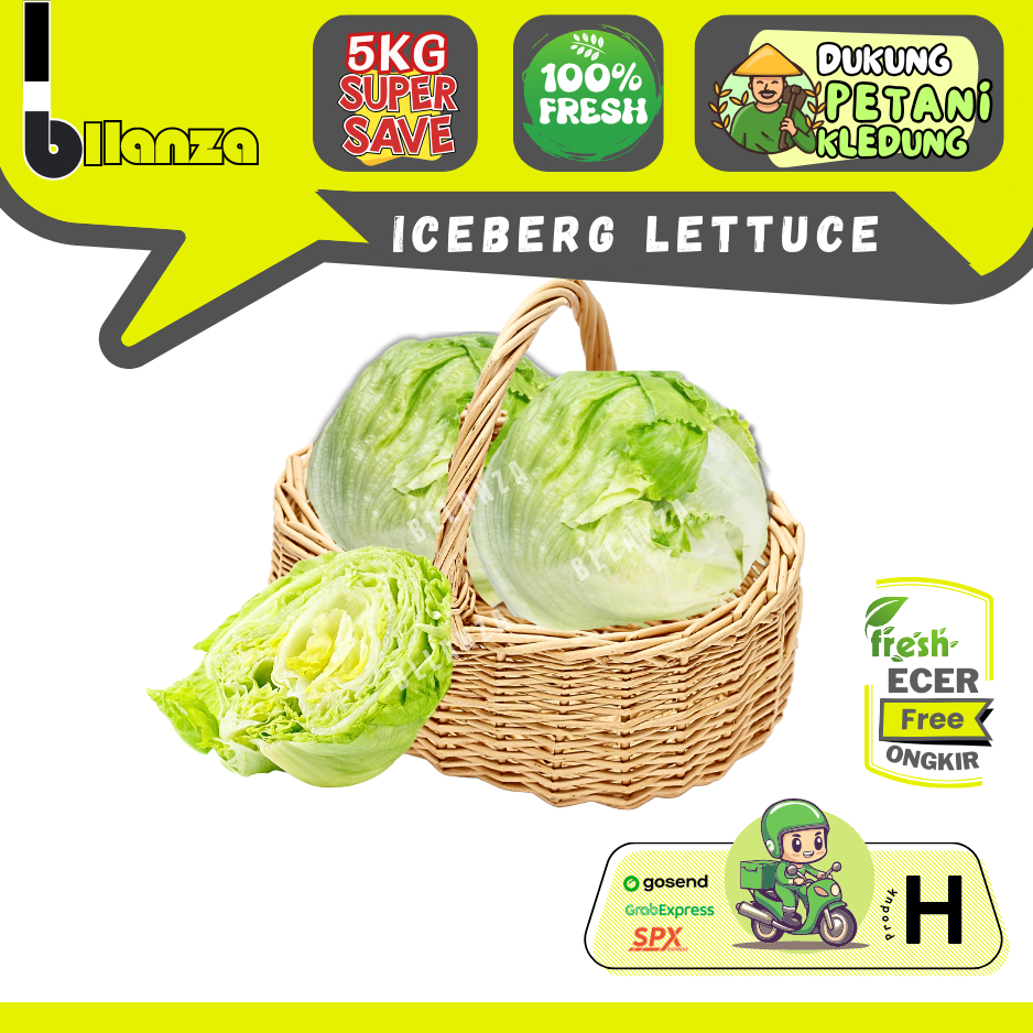 

Bllanza Iceberg Lettuce Sahabat Makan Sayur ECER (H)