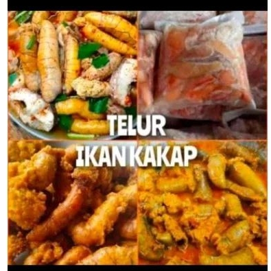 

Telur ikan kakap 500gram tinggi protein murah