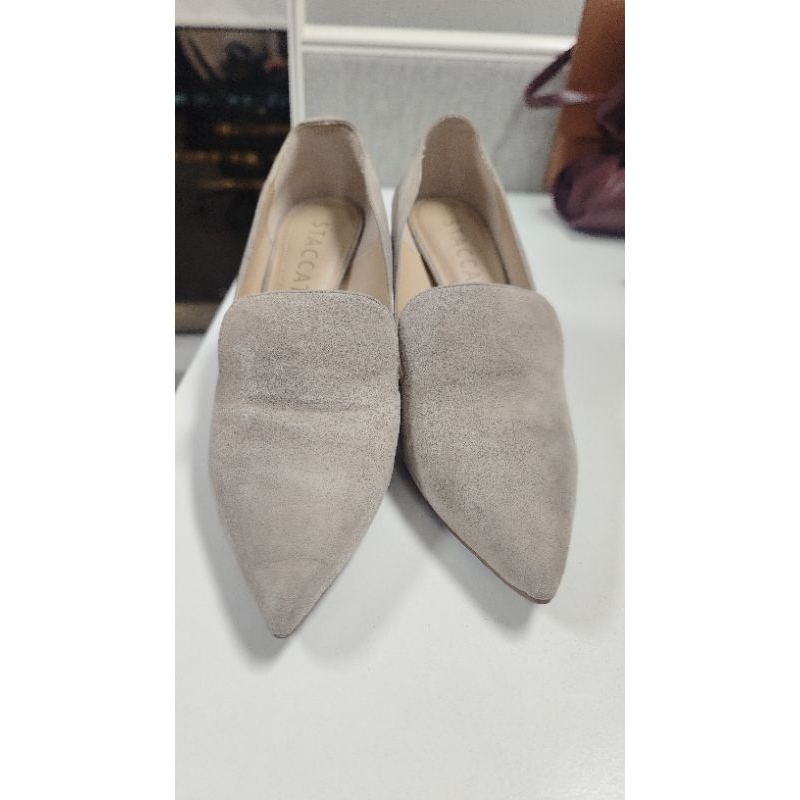 [Preloved] Sepatu Staccato