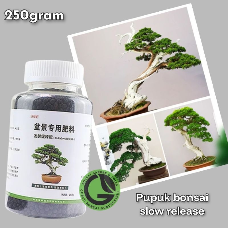 Pupuk Khusus Bonsai Pupuk Lepas Lambat slow release sejenis osmocote