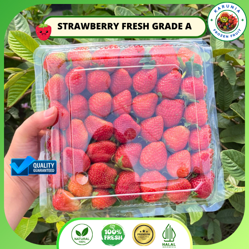 

Strawberry Fresh Premium Grade A Segar I Stroberi Fresh 1kg I 250 gr Pack