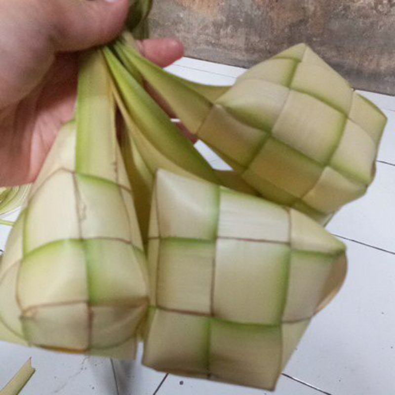 

janur kuning ketupat bawang untuk membuat ketupat
