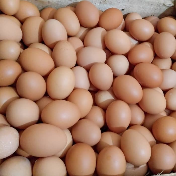 

TELUR AYAM TELOR AYAM HOREN SURABAYA 1Kg