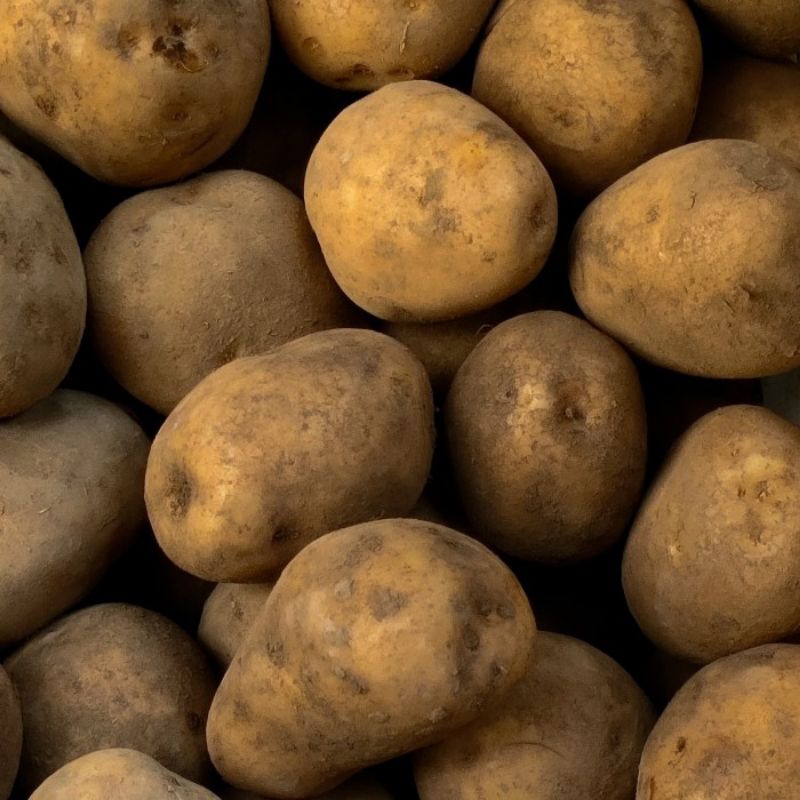

kentang dieng potato fresh ABC 1kg/500grm