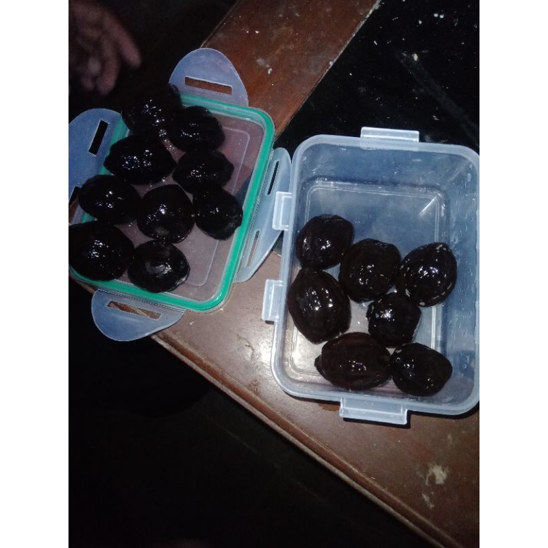 

kemiri jantan / muncang jalu asal sleman (jogja) 1 pcs