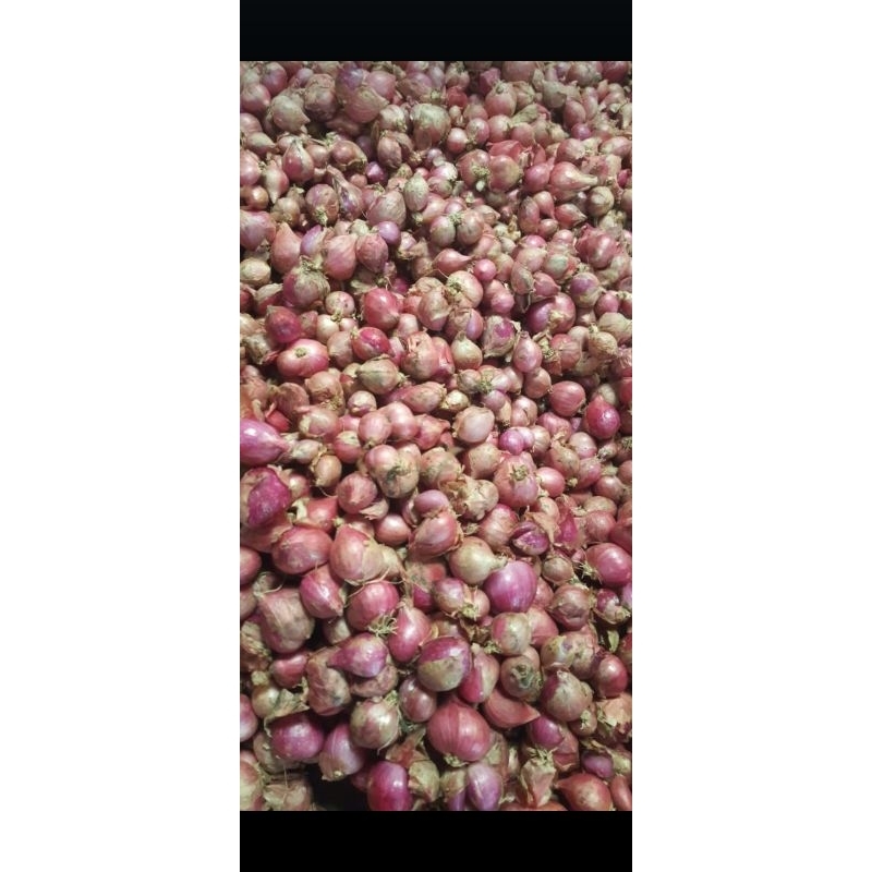 

Bawang Merah / Brambang