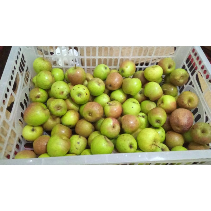 

Apel Manalagi 10kg | Isi 18-20 Buah per kg (GRADE D) | Packing Kardus