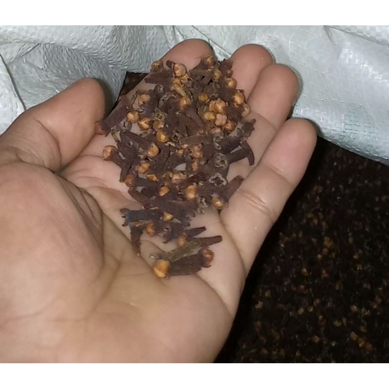 

bumbu masak cengkeh kering alami 200 gr