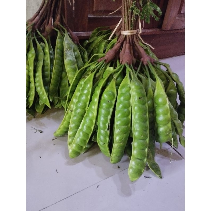 

Pete wonogiri 5 papan