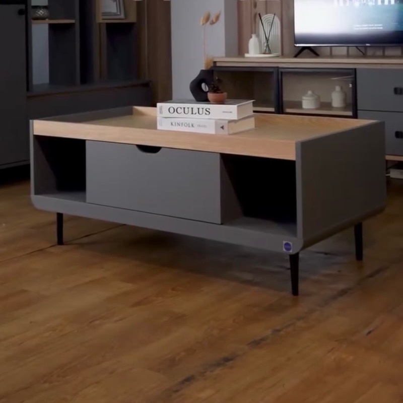 AESTHETIC COFFEE TABLE