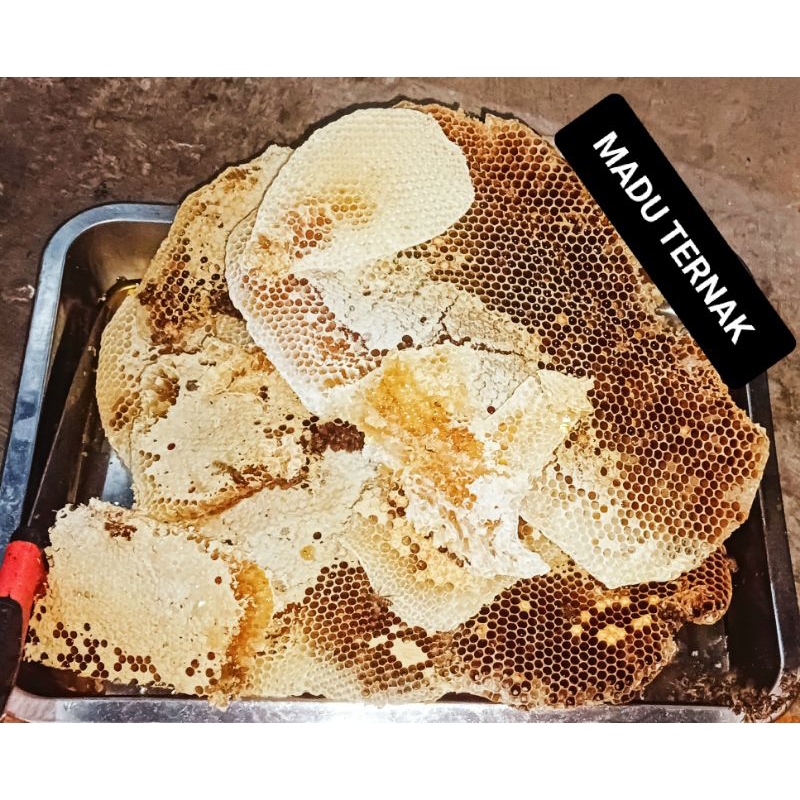 

Madu Asli Ternak