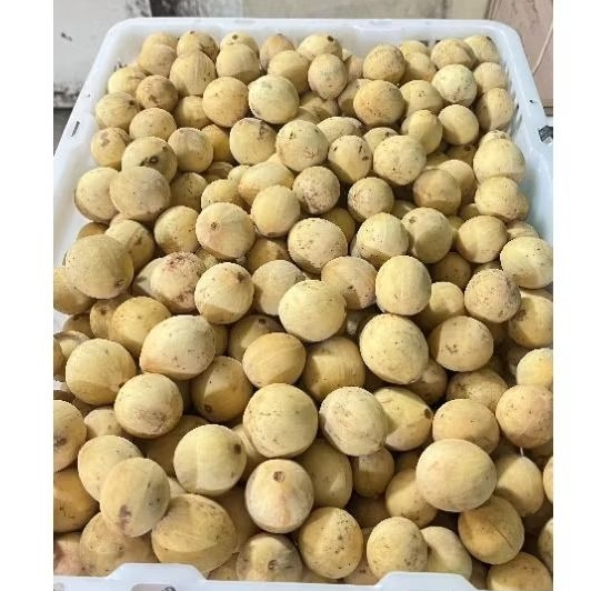 

Buah Duku per keranjang
