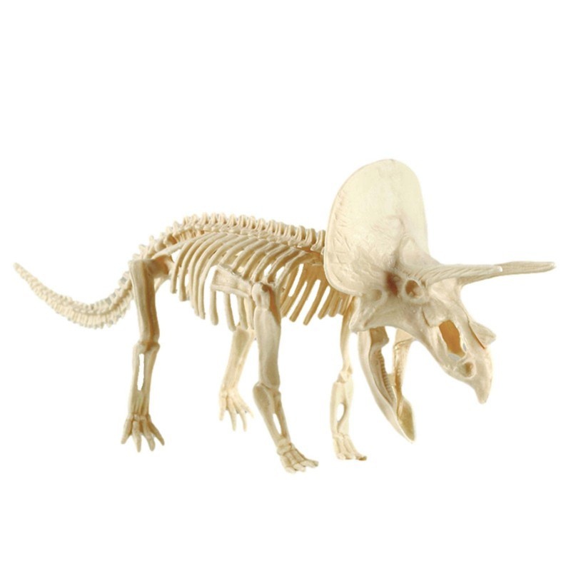 1 Set Fosil Dinosaurus Mainan Gali Fosil Arkeologi Mainan Tulang Dinosaurus Anak Education Toys