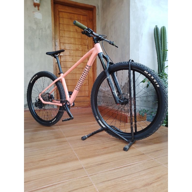 Sepeda Dominate Axc Elite