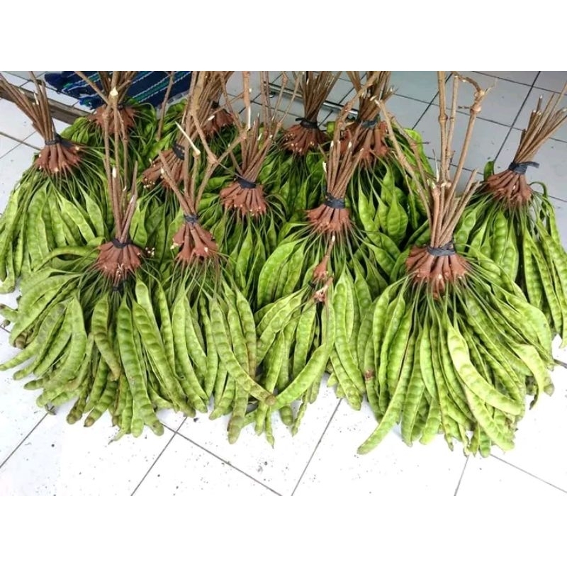 

Pete manis fresh 1 papan
