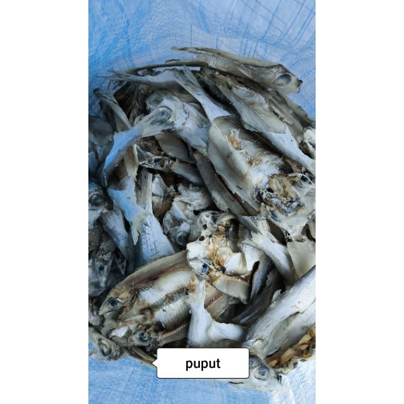 

IKAN ASIN PUPUT 500gram